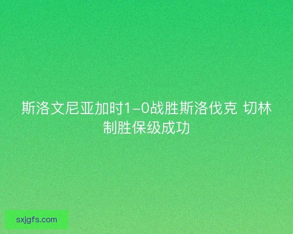 斯洛文尼亚加时1-0战胜斯洛伐克 切林制胜保级成功