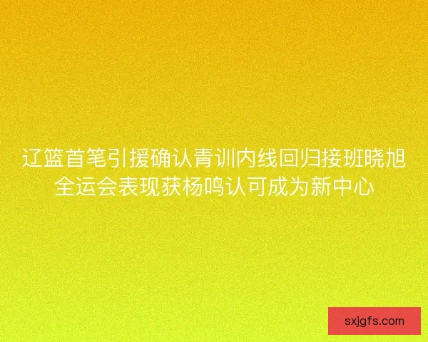 辽篮首笔引援确认青训内线回归接班晓旭全运会表现获杨鸣认可成为新中心