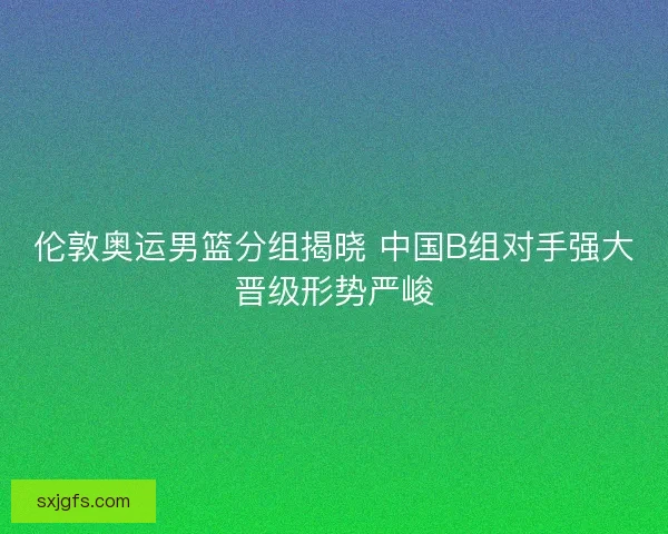 伦敦奥运男篮分组揭晓 中国B组对手强大晋级形势严峻